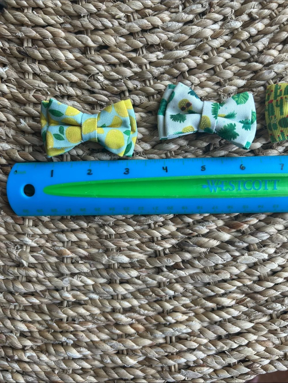 Cat Collar with bow.